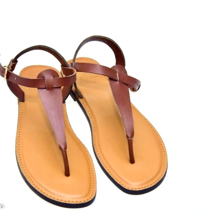 Terra Strides