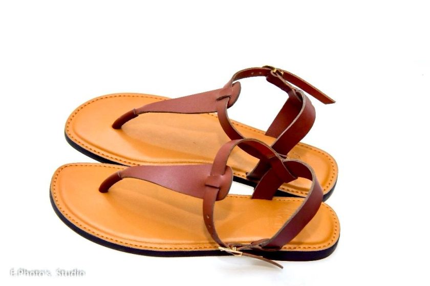 Terra Strides - Image 2