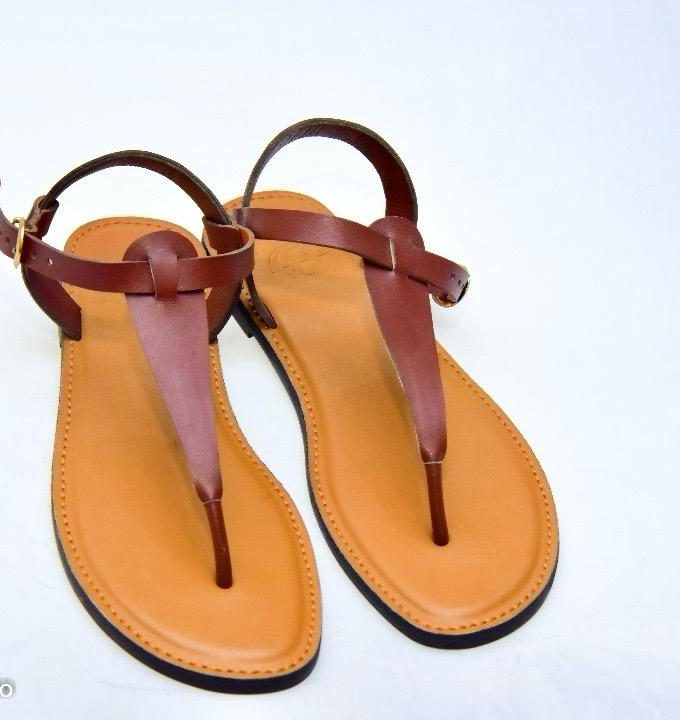 Terra Strides